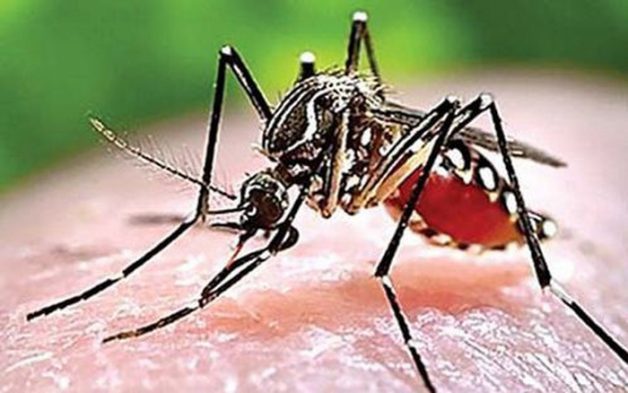 Bố mẹ cần phải theo dõi sát sao khi trẻ bị sốt xuất huyết