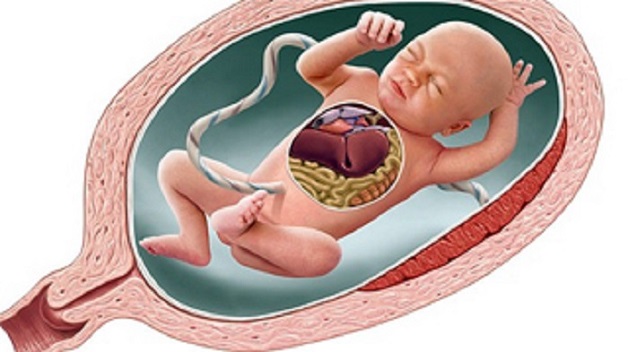 người bị bệnh tim bẩm sinh sống được bao lâu?