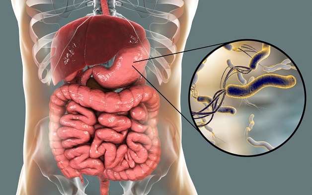 Bệnh về đường tiêu hóa gây mất ngủ ở người cao tuổi