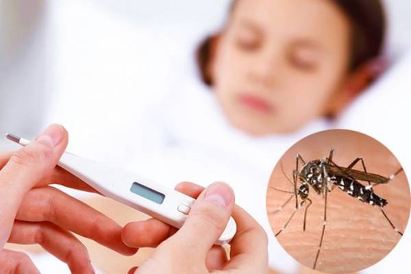 Trẻ mắc sốt xuất huyết thường có biểu hiện sốt cao, xuất huyết ở cổ, tay chân…