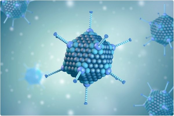 Virus Adeno có tỷ lệ gây bệnh cao hơn so với những chủng khác.