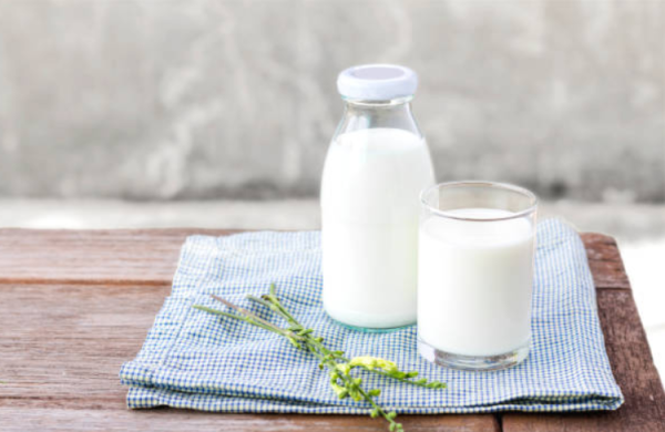 Bị viêm loét dạ dày nên ăn sữa chua không?