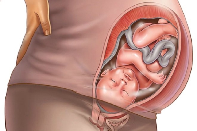 quá trình đẻ thường là phương pháp sinh nở thuận tự nhiên