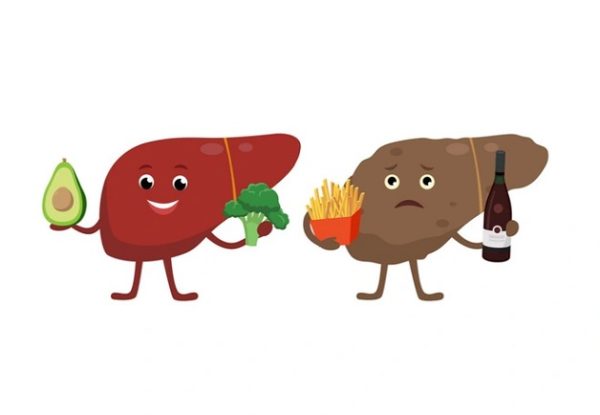 dấu hiệu gan nhiễm mỡ và nguyên nhân gây bệnh
