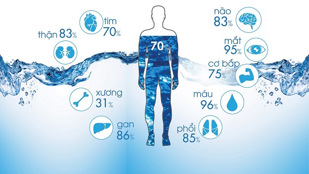 Lời khuyên dự phòng sỏi thận rơi xuống niệu đạo