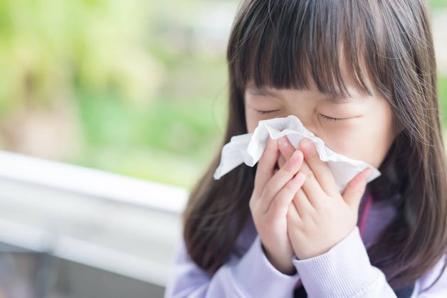 Vắc xin cúm tạo nên kháng thể chống lại tác động của virus cúm một cách hiệu quả