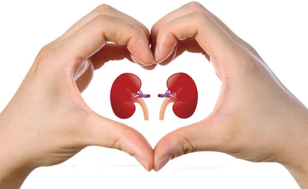 Tán sỏi qua da đường hầm nhỏ bảo vệ chức năng thận và các cơ quan khác