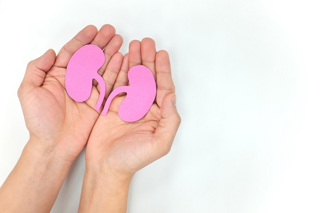 Thuốc điều trị sỏi niệu quản, sỏi tiết niệu