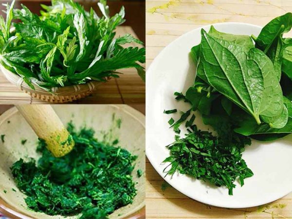 Điều trị gai đốt sống cổ từ các nguyên liệu đơn giản
