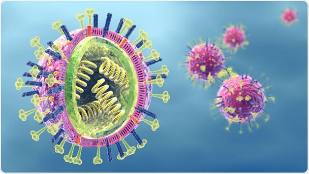 Cúm A h5n1 là gì