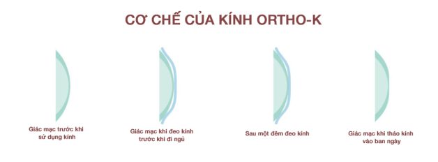 kính ortho k