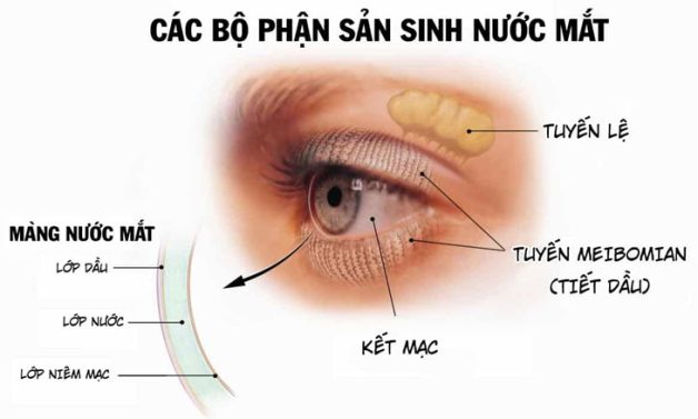 bệnh khô mắt
