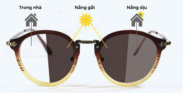 tròng kính đổi màu