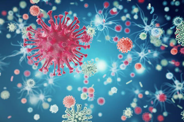 Virus cúm A có lây không