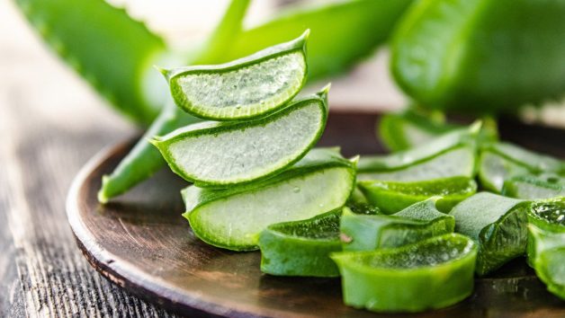 Đắp mủ nha đam là cách trị viêm nướu răng tại nhà hiệu quả