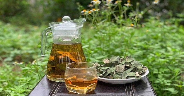 gan nhiễm mỡ uống gì hết - trà lá sen