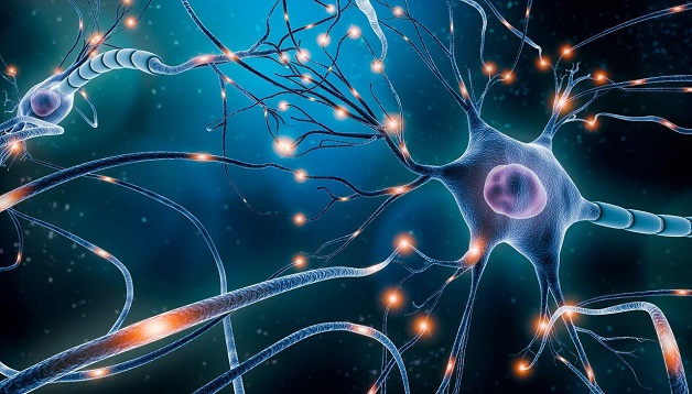 Suy giảm trí nhớ nguyên nhân do đâu?