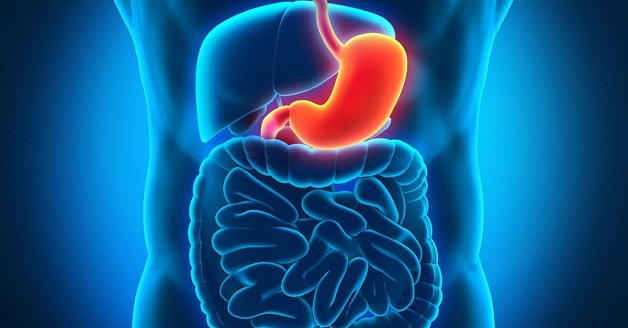 Viêm dạ dày là bệnh lý thường gặp ở hệ tiêu hóa 