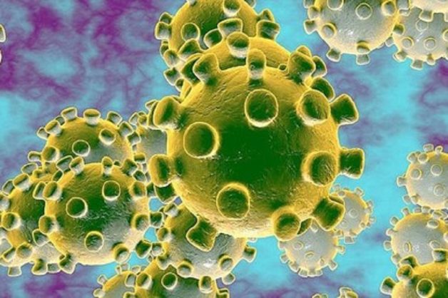 Virus đường ruột họ Enterovirus là nguyên nhân sinh tay chân miệng