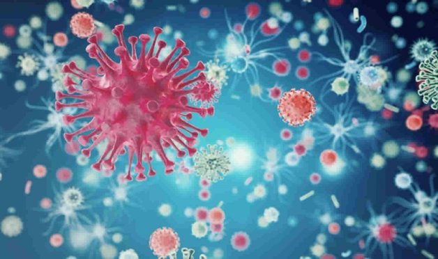 Tay chân miệng khởi phát do hoạt động của virus đường ruột họ Enterovirus