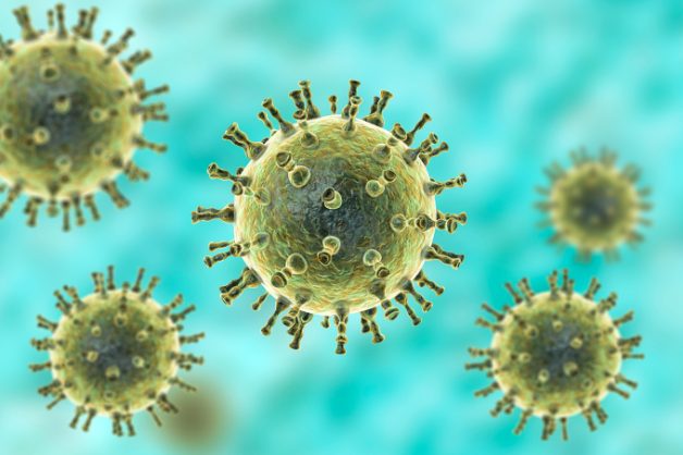 Virus Varicella – Zoster gây thủy đậu