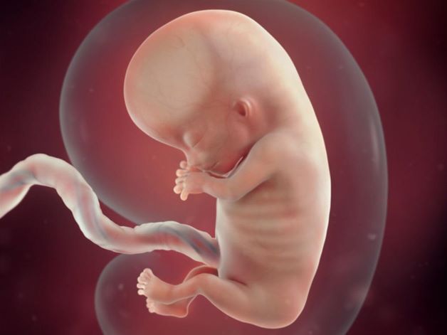 Mẹ bị nấm âm đạo khi mang thai có thể khiến cho thai nhi bị suy dinh dưỡng từ trong bụng mẹ