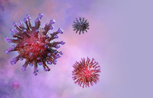 Thủy đậu là bệnh truyền nhiễm khởi phát do virus Varicella – Zoster 