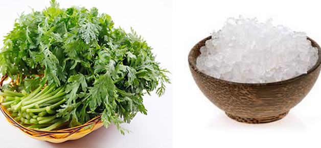 Điều trị thoái hóa cột sống cổ bằng bài thuốc từ ngải cứu