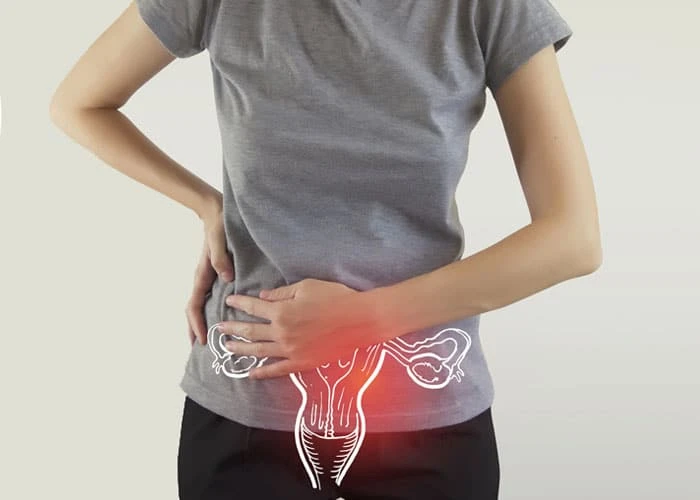 Rối loạn kinh nguyệt ở phụ nữ trung niên nguyên nhân chủ yếu do sự suy giảm chức năng của buồng trứng cũng như hormone nội tiết tố nữ
