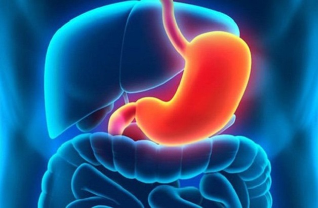 Viêm dạ dày là bệnh lý thường gặp ở hệ tiêu hóa