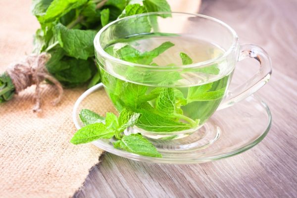 Sử dụng tinh dầu bạc hà