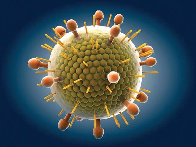 Virus Mumps, thuộc chi Rubulavirus, họ Paramyxoviridae được xác định là nguyên nhân khởi phát quai bị