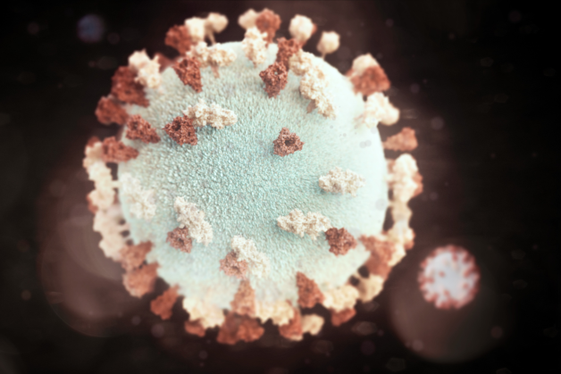 Quai bị là bệnh truyền nhiễm cấp tính có nguyên nhân phát sinh được xác định là virus Mumps, thuộc chi Rubulavirus, họ Paramyxoviridae