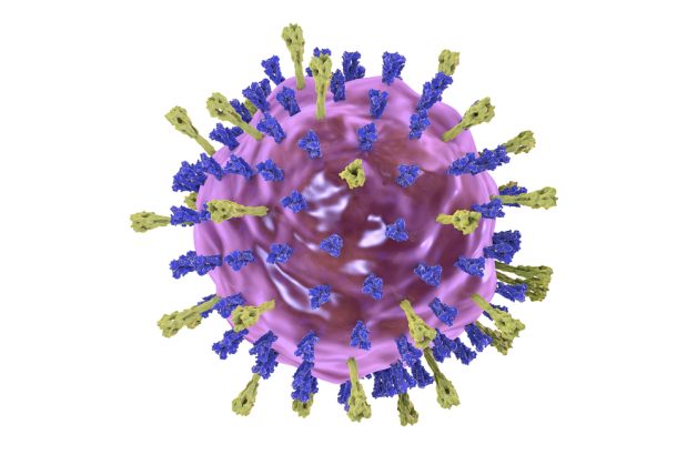 Virus Mumps, thuộc chi Rubulavirus, họ Paramyxoviridae là nguyên nhân khởi phát quai bị