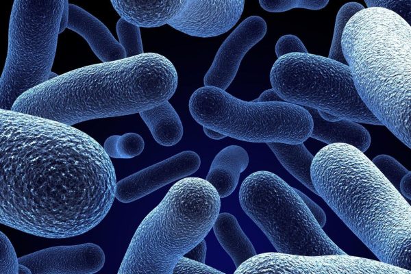 Bệnh tiêu chảy cấp ở trẻ thường do vi khuẩn, virus gây ra...