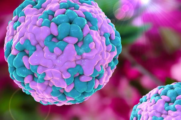 Nguyên nhân bị tay chân miệng ở trẻ em thường do virus gây ra