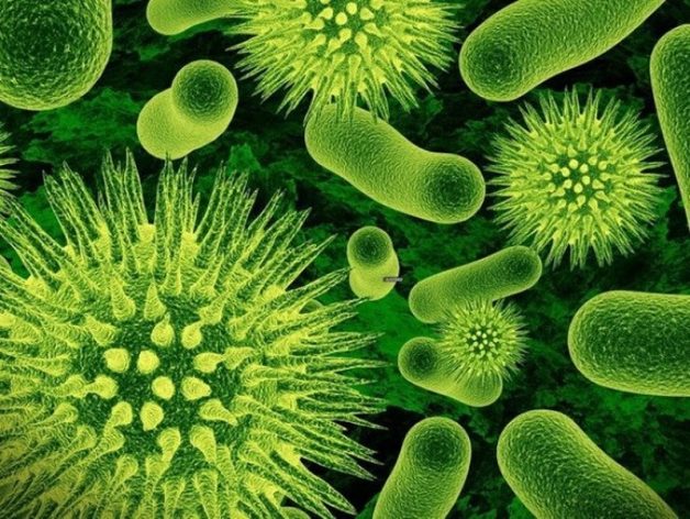Viêm đường hô hấp trên ở trẻ nhỏ phần lớn là khởi phát do virus