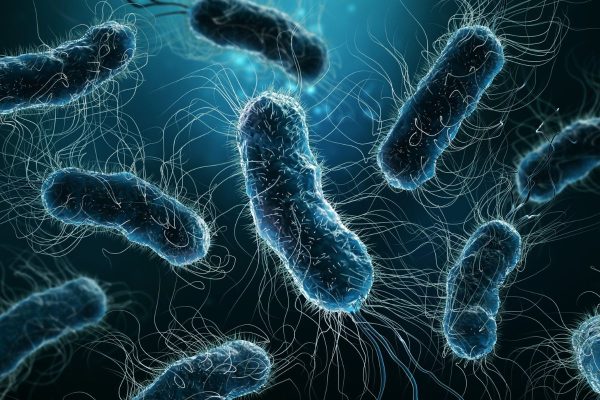 Virus, vi khuẩn hay ký sinh trùng được đánh giá là nguyên nhân hàng đầu gây tiêu chảy cấp
