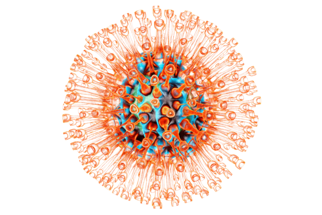 Virus Varicella – Zoster gây thủy đậu