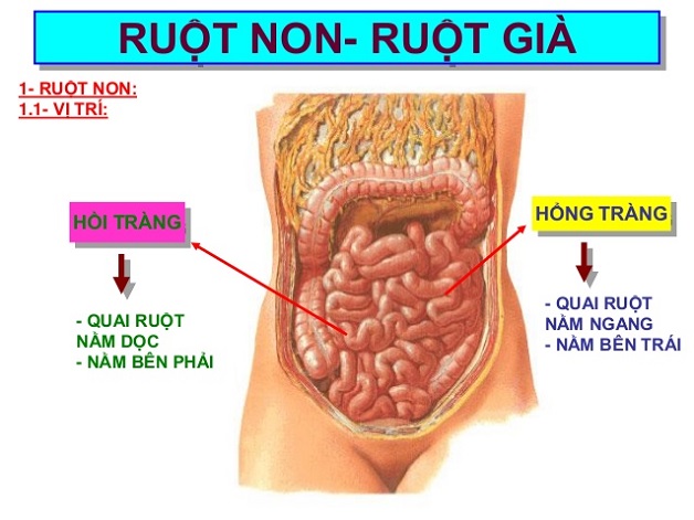 dấu hiệu bệnh viêm hồi tràng