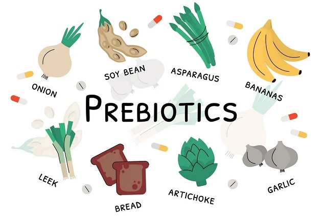 prebiotic