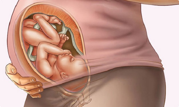 Thai nhi càng phát triển, khối lượng cơ thể mẹ tăng làm cho đau lưng, xương hông và chân đau hơn