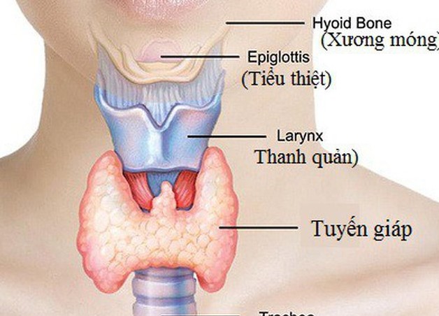 bệnh tuyến giáp ở phụ nữ