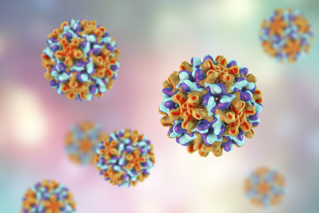 Theo chuyên gia, nguyên nhân hình thành viêm gan B được xác định là do virus viêm gan B hay virus HBV.