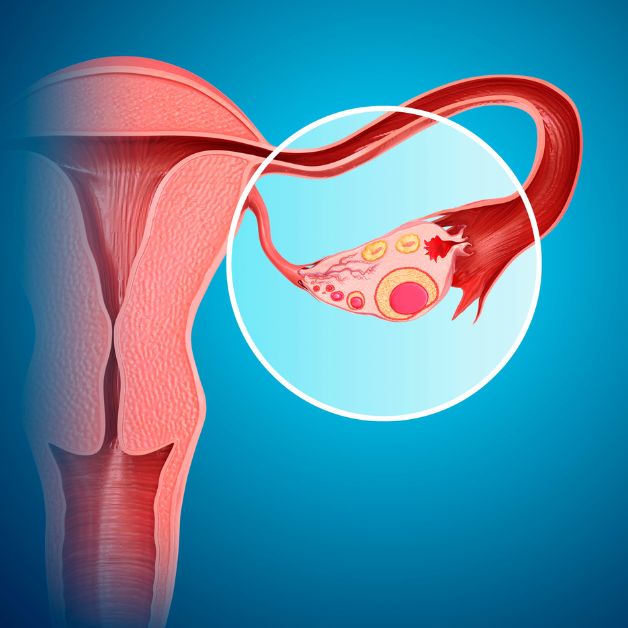 Liệt kê các dấu hiệu bệnh vùng kín thường gặp