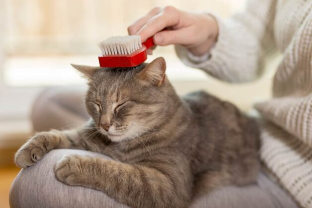 Đau mắt đỏ ở trẻ em bao lâu thì khỏi?