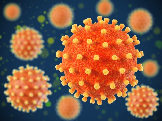 Herpes simplex type I gây đau mắt đỏ.