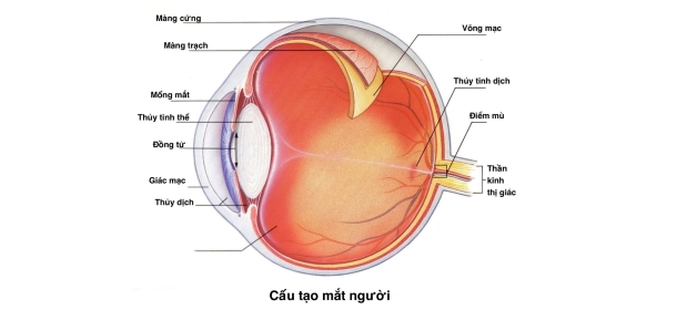 nguyên nhân bong võng mạc mắt là gì