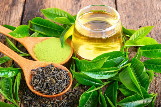 Trà xanh được chứng minh là thần dược với nhiều công dụng tốt cho sức khỏe