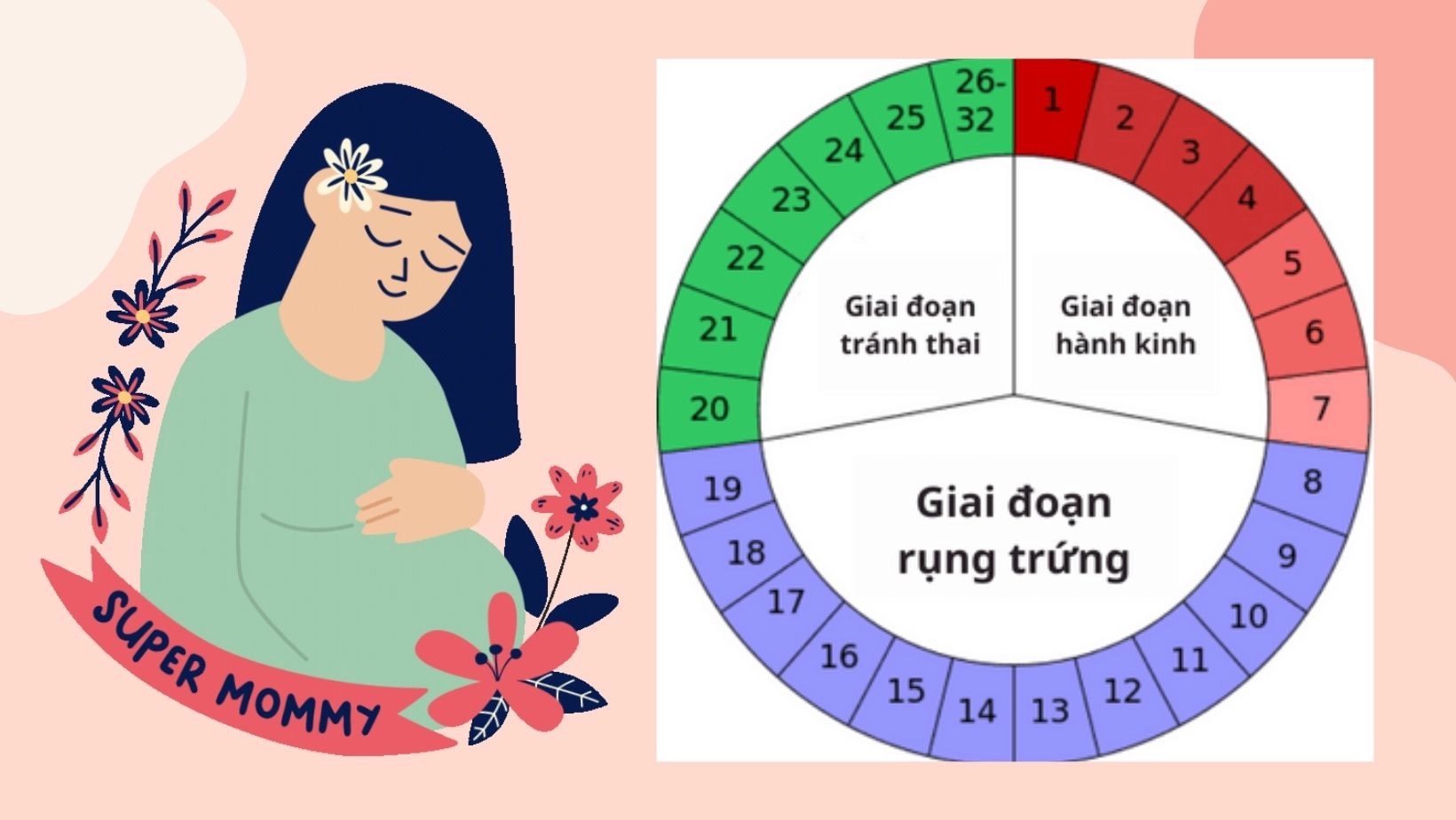 Chu kỳ kinh nguyệt đóng vai trò quan trọng đối với chức năng sinh sản của phụ nữ